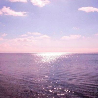 大海贼探险物语变态版下载