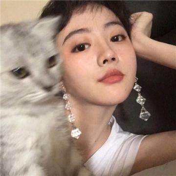 罗布乐思九游版下载