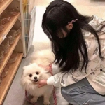 姐脑洞大大手机版下载